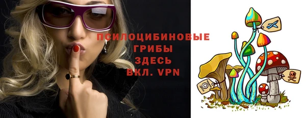 дмт Нея