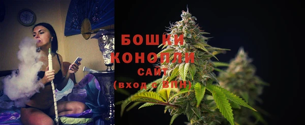 дмт Нея