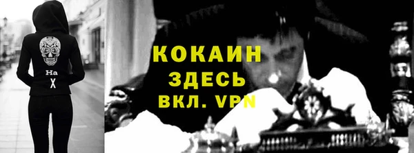 дмт Нея