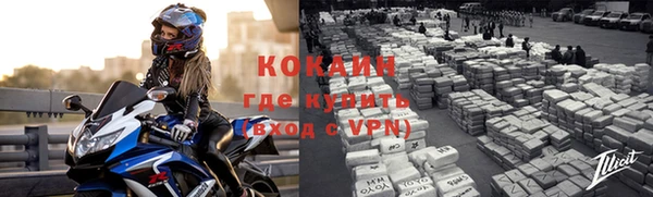 дмт Нея